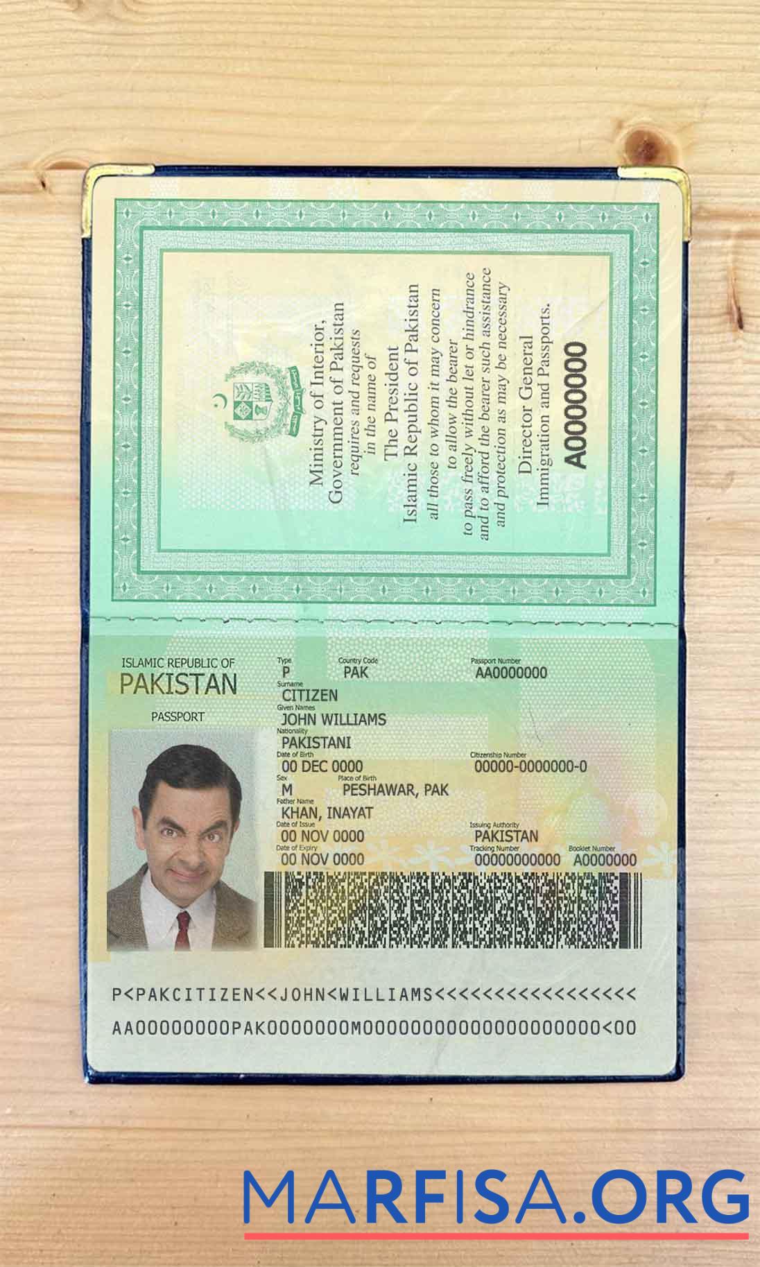 Printable Pakistan passport photo look sample